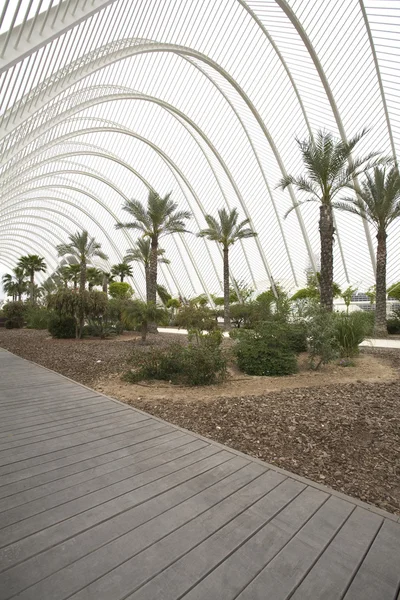 stock image L Umbracle Garden