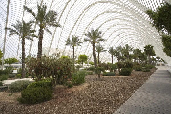 stock image L Umbracle Garden