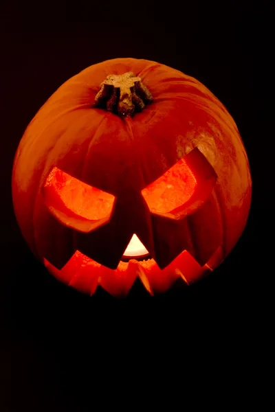 stock image Halloween Pumpkin