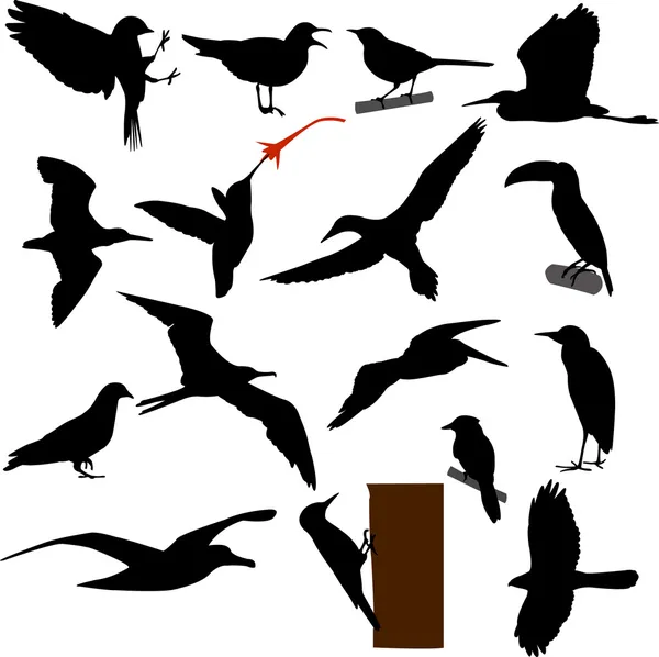 Siluetas de aves — Archivo Imágenes Vectoriales
