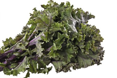 Red Kale clipart