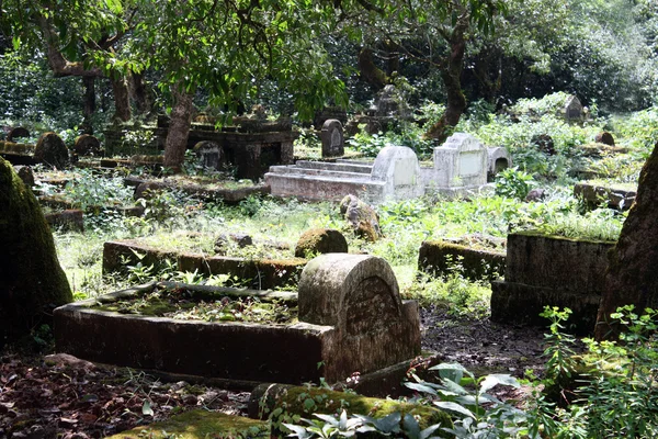 Jungle Cemetery — Stock Photo, Image