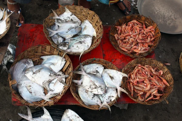 stock image Fish Baskets