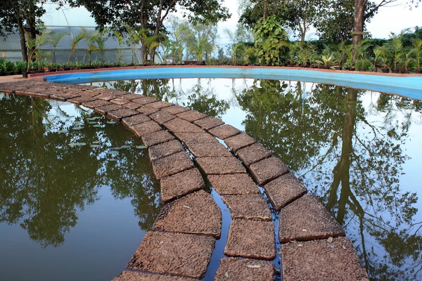 stock image Pond Path