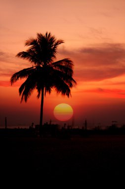 Tropical Sunset clipart