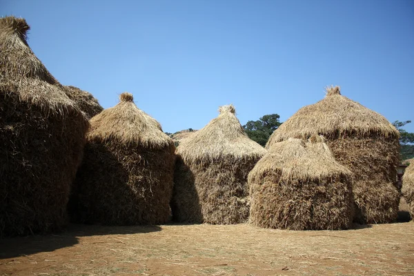 Thatched Huts — Stock Photo, Image