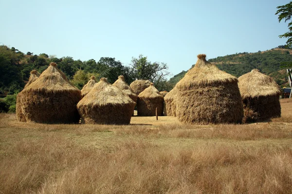Thatched Huts — Stock Photo, Image