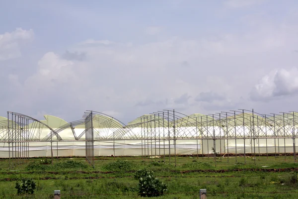 Greenhouses Under Construction — Stock Photo, Image