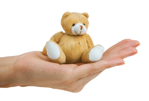 Urso de brinquedo em uma palma — Fotografia de Stock