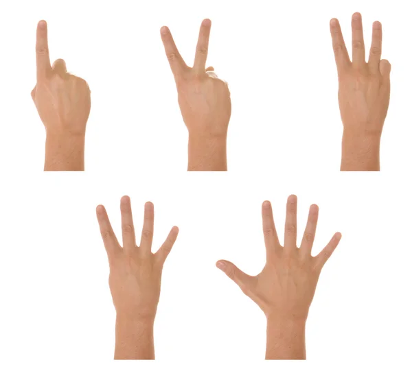 Tellen handen geïsoleerd op wit — Stockfoto