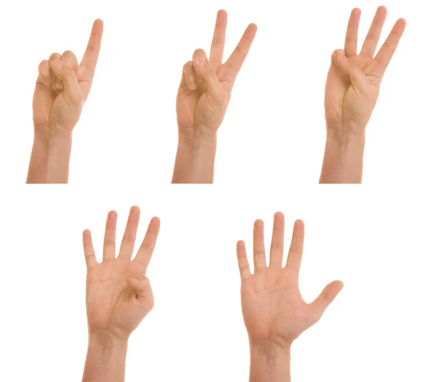 Μετρώντας τα χέρια που απομονώνονται σε λευκό — Φωτογραφία Αρχείου