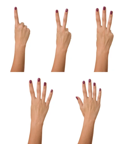 Counting woman hand — Stock Photo, Image