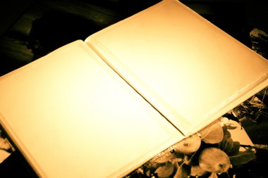 kopya alanı ile fotoğraf albümü