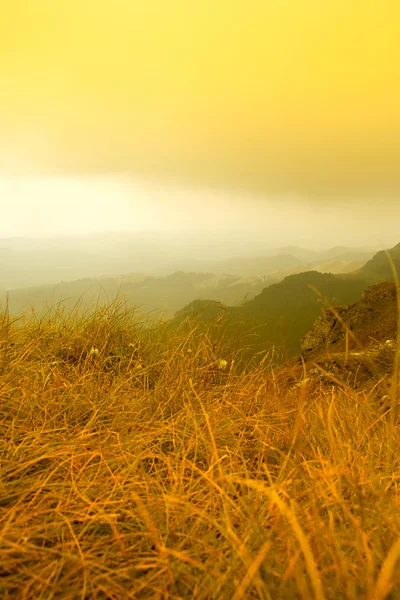 Žluté hory — Stock fotografie