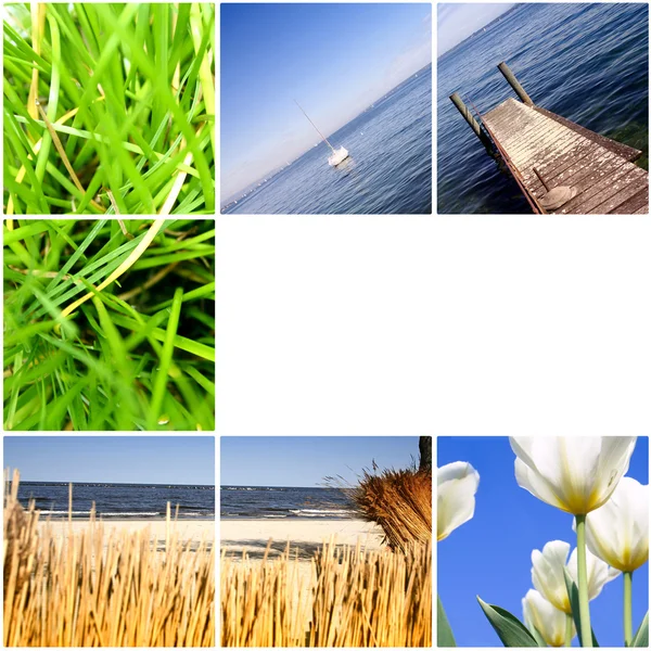 Kleurrijke natuur collage. — Stockfoto