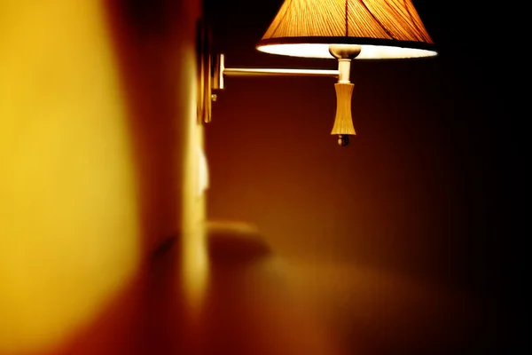 Turuncu lamba — Stok fotoğraf