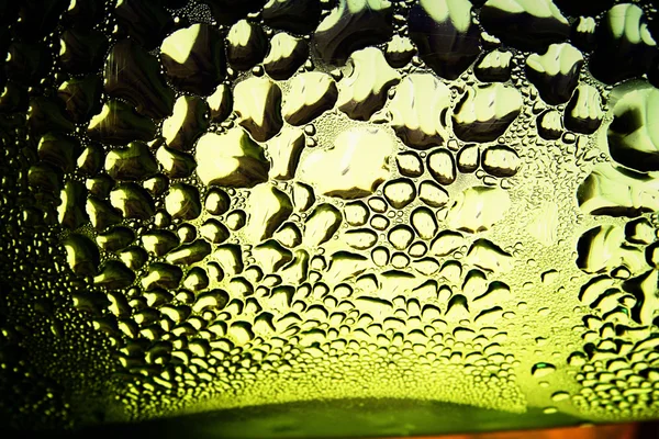 Green drops of water - light from backside. Macro — Stock Photo, Image