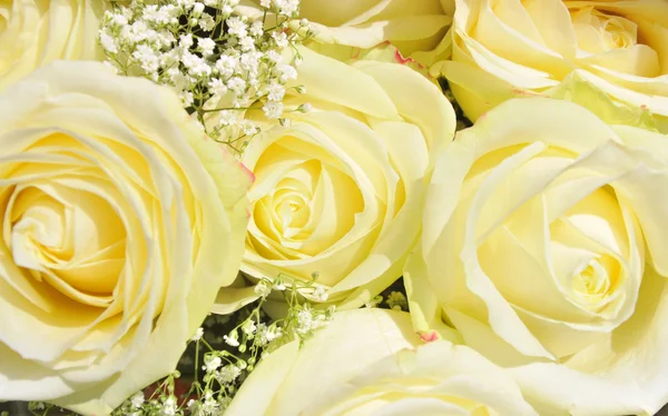 stock image Bouquet of yellow roses