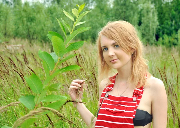 Красивая девушка с голубыми глазами в траве — стоковое фото
