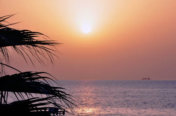 avuç içi arasında günbatımı