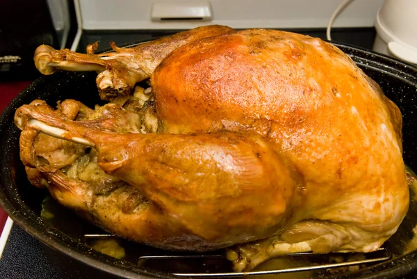 stock image Cooked Thanksgiving Turkey