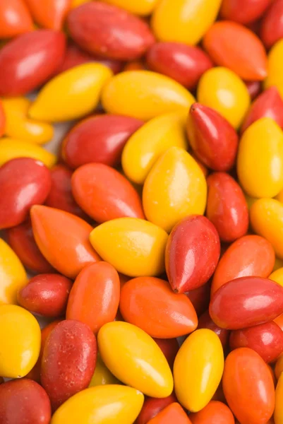 Un mucchio di caramelle colorate d'autunno — Foto Stock