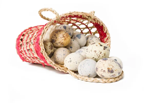 Перепелині яйця в кошику з соломою — стокове фото