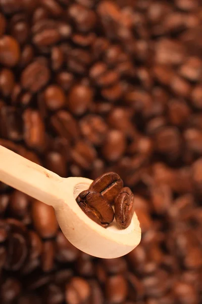 Koffiebonen in een lepel — Stockfoto