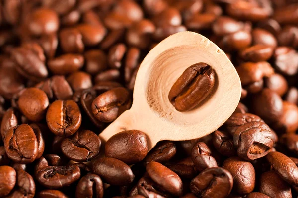 Granos de café en una cuchara —  Fotos de Stock