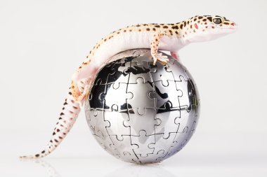 Gecko Globe