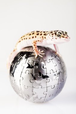 Gecko Globe