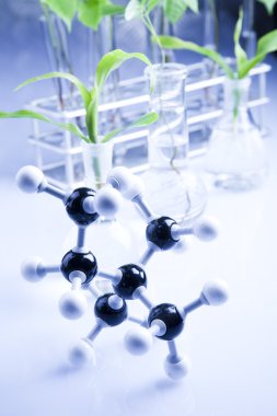 Plants and laboratory clipart