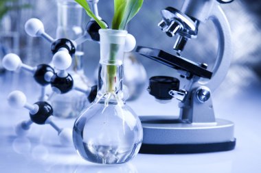 Laboratory glassware containing plants in laboratory clipart
