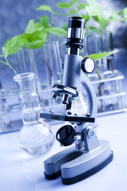 Working in a laboratory and plants clipart