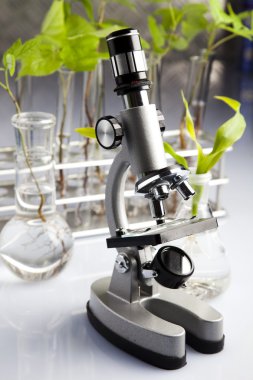 Laboratory glassware containing plants in laboratory clipart