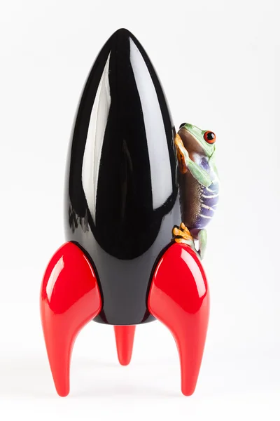 Black Rocket and green frog — Stock Photo, Image