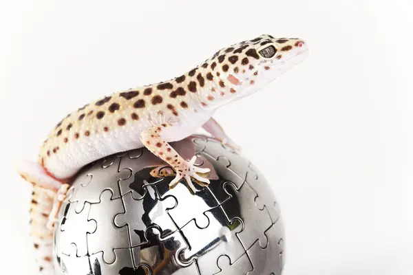 Gecko en globo —  Fotos de Stock