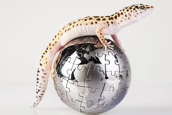 Gecko no globo — Fotografia de Stock