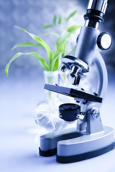 Test tüpleri laboratuvarında bitkilerin yakın çekim — Stok fotoğraf