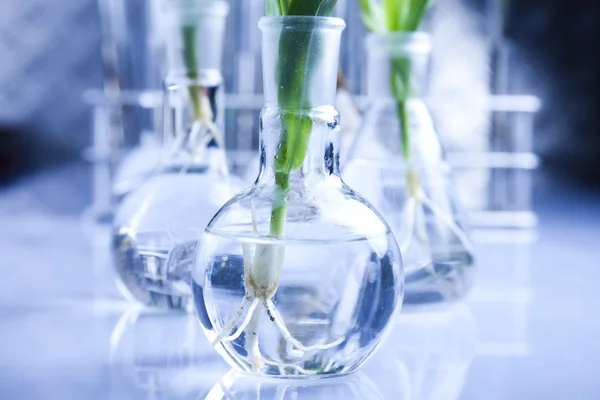 Laboratorio químico equipos de cristalería, ecología — Foto de Stock