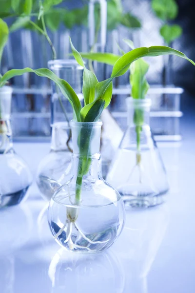 Chemische glaswerk laboratoriumapparatuur, ecologie — Stockfoto