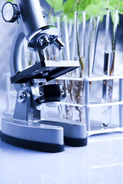 stock image Chemistry equipment, laboratory glassware