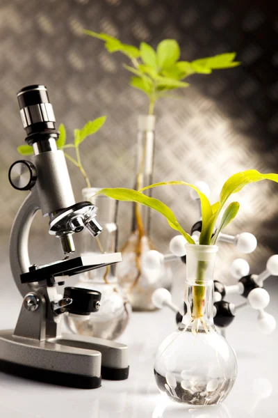 Scienza floreale in laboratorio — Foto Stock