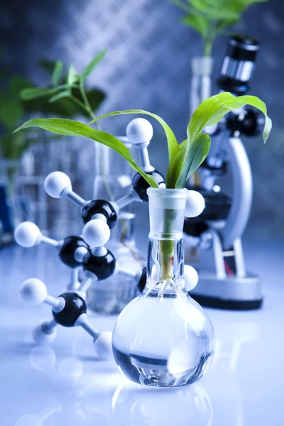 Květinové věda v laboratoři — Stock fotografie