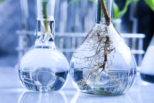Хімічне обладнання, лабораторний скляний посуд — стокове фото