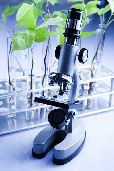 Ciencias florales en laboratorio — Foto de Stock