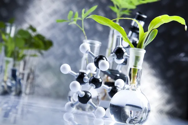 Laboratorieartiklar av glas, växt — Stockfoto