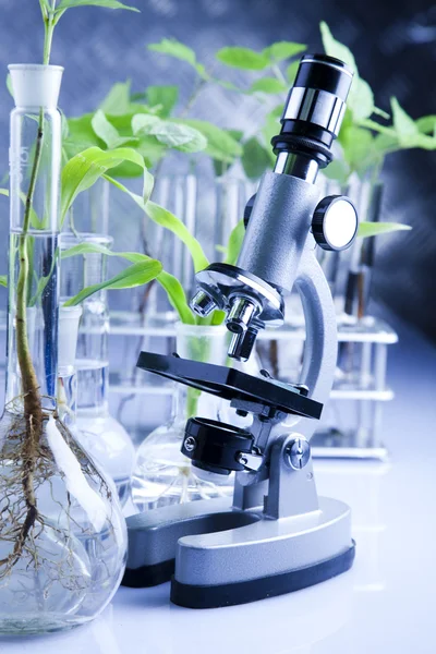 Arbetar i ett laboratorium och växter — Stockfoto