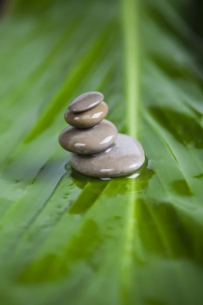 Wellness und Zen-Stillleben — Stockfoto