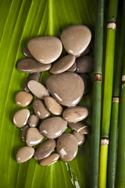 Дзен бамбука — стокове фото